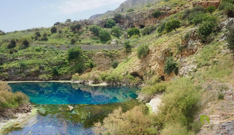 Εκδρομή ΠΑΣΥΝΕΔ 27/4/25